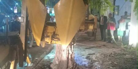 بعد سقوطها بشكل مفاجئ على عقار بمصر الجديدة.. وزيرة التنمية المحلية والبيئة تتابع مع محافظ القاهرة جهود نقل شجرة والاستعانة بأحدث الأجهزة والمعدات بالدولة ونقلها لمكان آخر - تواصل نيوز