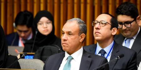 وزير الخارجية يشارك في الاجتماع الوزاري للتحالف العالمي لتنفيذ حل الدولتين - تواصل نيوز