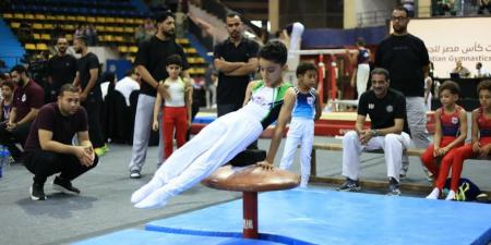 بطل الجمباز إلياس محمد حجاج يحصد ذهبية كأس مصر تحت 10 سنوات - تواصل نيوز