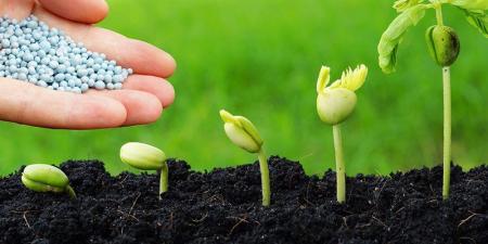 تتجاوز الـ 4 آلاف جنيه، ارتفاع خيالي في أسعار الأسمدة اليوم بالأسواق - تواصل نيوز