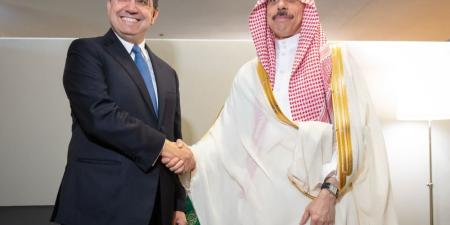 وزير الخارجية ونظيره المغربي يبحثان أبرز القضايا الإقليمية - تواصل نيوز