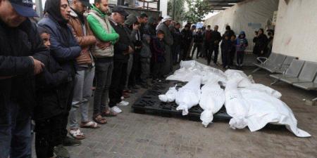 ارتفاع حصيلة ضحايا العدوان الإسرائيلي على قطاع غزة إلى 74016 شهيدا و175068 مصابا - تواصل نيوز