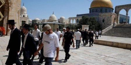 مستعمرون يقتحمون المسجد الأقصى المبارك بحراسة مشددة من شرطة الاحتلال - تواصل نيوز