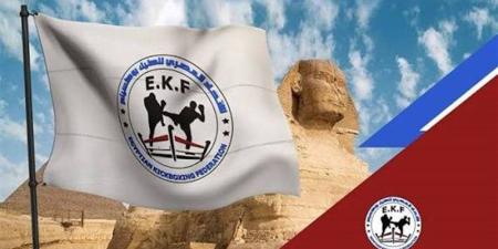 هروب لاعب من بعثة منتخب مصر للكيك بوكسينج في إيطاليا - تواصل نيوز