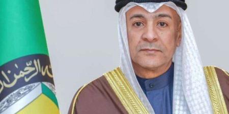 البديوي يبحث مع وزيرة خارجية جيورجيا العلاقات الثنائية - تواصل نيوز