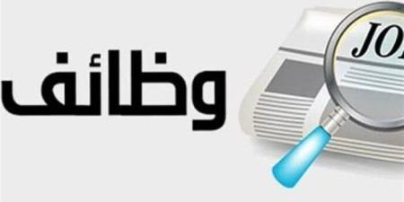 وظائف للشباب بمرتبات 12600 جنيه.. الشروط والتخصصات وطريقة التقديم - تواصل نيوز