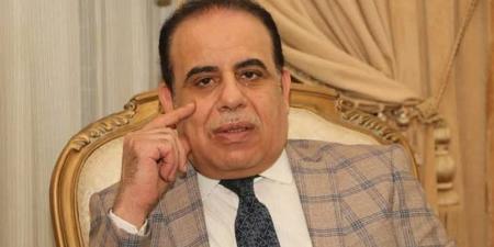 عبد العزيز النحاس: غياب المحليات يسبب خللًا في الرقابة الشعبية - تواصل نيوز