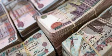 بعد انتشارها بشكل واسع، الإفتاء توضح الحكم الشرعي في ظاهرة "المستريح" - تواصل نيوز
