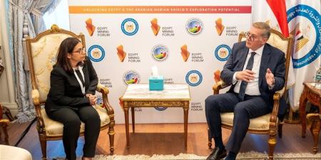 وزير البترول يبحث مع البنك الدولي تمويل مشروعات التعدين ودعم الشركات الناشئة - تواصل نيوز
