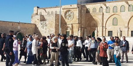 المملكة تدين استمرار الممارسات الإسرائيلية الاستفزازية بحق المسجد الأقصى - تواصل نيوز