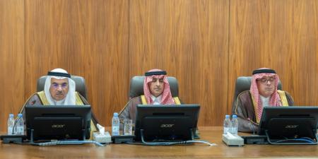 نائب أمير الشرقية يترأس اجتماع شتاء السعودية وتنمية القطاع السياحي في المنطقة - تواصل نيوز