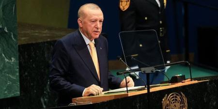 أردوغان: أزمة الصناديق الاستثمارية لا تمثل خطورة على النظام المالي التركي - تواصل نيوز