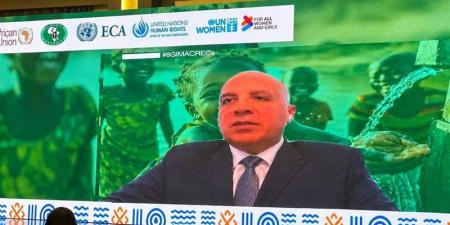 وزير الري: المياه أساس التنمية والأمن الغذائي في إفريقيا وهذه روشتة تنفيذ رؤية 2063 - تواصل نيوز