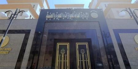 للمصريين المهاجرين، خطوات الحصول على خطاب التأمينات لصرف المستحقات التأمينية والرسوم المطلوبة - تواصل نيوز