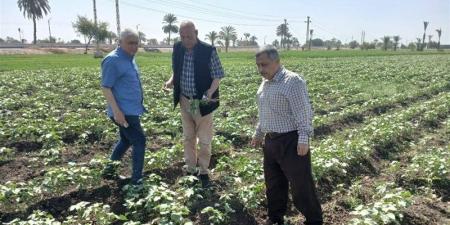 محمود عطا لـ «فيتو»: الإرشاد الزراعي مات والجمعيات الزراعية خرجت من الخدمة - تواصل نيوز