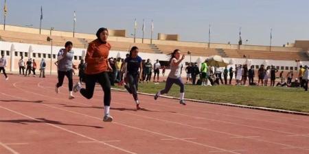 جامعة عين شمس تبدأ حصد الميداليات في أسبوع شباب الجامعات الرابع عشر - تواصل نيوز