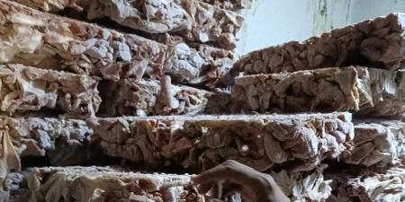 ضبط (70) طن من اللحوم والدواجن الفاسدة وغير الصالحة للاستهلاك الآدمي بالجيزة - تواصل نيوز