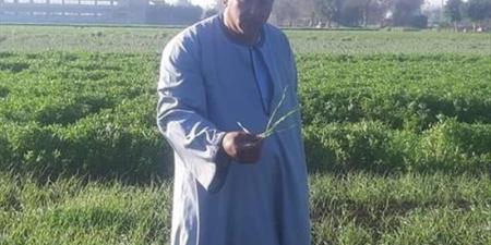 أحسن فلاح في مصر يحذر: بنخسر سنويا بعد رفع الدولة إيديها عن الفلاح ومش هزرع أرضي تاني - تواصل نيوز
