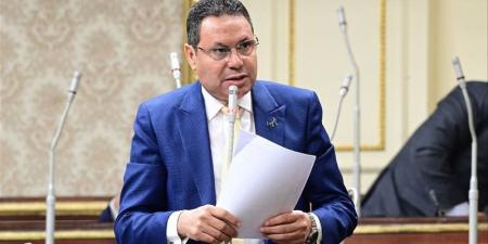 هشام الحصرى يستعرض أسباب مشروع قانون تأجيل تطبيق "الإجراءات الجنائية" - تواصل نيوز