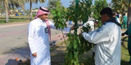 400 طالب وطالبة يشاركون في مبادرات تشجير حدائق الشرقية - تواصل نيوز