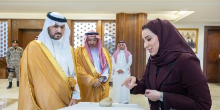 نائب أمير المنطقة الشرقية يترأس الاجتماع الثالث لمجلس إدارة مؤسسة تطوير جزيرة دارين وتاروت - تواصل نيوز