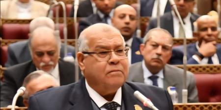 الشهابي: لولا تدخل الرئيس لتم تطبيق قانون الإجراءات الجنائية غدا والتأجيل يقتضي تعديلا تشريعيا - تواصل نيوز