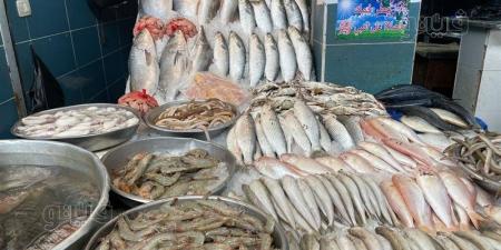 أسعار الأسماك اليوم، ارتفاع الجمبري 100 جنيه وانخفاض كبير في الكابوريا والبوري وقشر البياض - تواصل نيوز