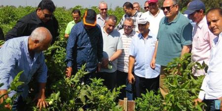وزير الزراعة الأسبق لـ «فيتو»: لولا نشاط الباحثين الزراعيين ما كناش لقينا ناكل - تواصل نيوز