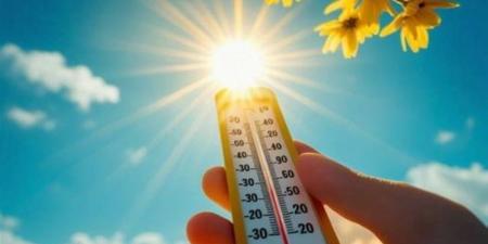 أمطار وضباب وعوالق.. بيان درجات الحرارة والظواهر الجوية في السعودية - تواصل نيوز