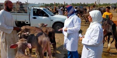1037 ترخيصًا جديدًا و774 تسجيلة أعلاف، حصاد قطاع الثروة الحيوانية والداجنة خلال سبتمبر - تواصل نيوز