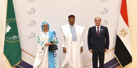 السيسي: آن الأوان لاعتماد أفريقيا على مواردها الذاتية بآليات تمويلية محلية - تواصل نيوز