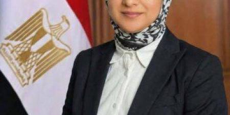 محافظ الوادي الجديد: ننتقل لمرحلة جديدة تستهدف بناء اقتصاد محلي متكامل - تواصل نيوز
