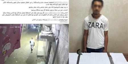 الذكاء الاصطناعي يكشف مفاجأة في واقعة بلطجة بالغربية.. ضبط المتهم وبحوزته أسلحة بيضاء - تواصل نيوز