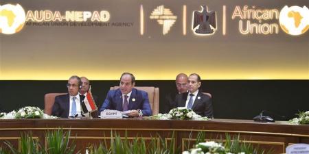 السيسي يشارك اليوم في القمة التنسيقية الثامنة للاتحاد الأفريقي لمنتصف العام - تواصل نيوز