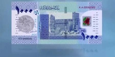 آخر تطورات سعر الجنيه السوداني مقابل الدولار في بنك السودان المركزي - تواصل نيوز