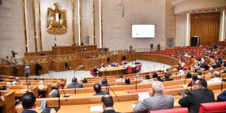 "النواب" يوافق على اعتراض رئيس الجمهورية بشأن مادة بقانون "كيان" ويعلن تشكيل لجنة خاصة للدراسة - تواصل نيوز