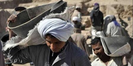 تفاصيل مشروع قانون تنظيم العمالة اليومية والمؤقتة والموسمية - تواصل نيوز