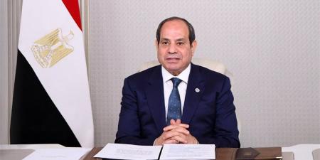 السيسي: مصر قادرة على حماية أمنها القومي رغم مخططات النيل من استقرارها التي لا تتوقف - تواصل نيوز