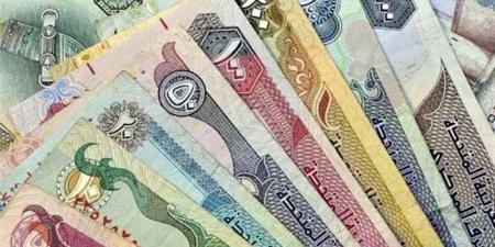 14.26 جنيه، سعر الدرهم الإماراتي في بنك مصر اليوم الثلاثاء - تواصل نيوز