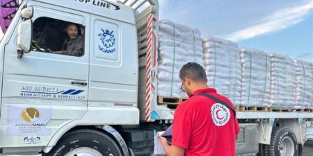 "زاد العزة 290"، الهلال الأحمر يمد أهالي غزة بأكثر من 2653 طن مساعدات - تواصل نيوز