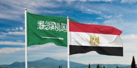 وزير الخارجية يؤكد لنظيره السعودى إدانة مصر لكافة الاعتداءات على المملكة والدعم الكامل لأمنها واستقرارها - تواصل نيوز
