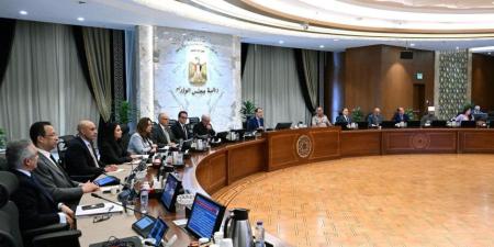 رئيس الوزراء يشيد بالإقبال اللافت الذي شهده الموقع الإلكتروني لـ "منتدي مصر 2026" الذي تم إطلاقه مطلع الشهر الجاري - تواصل نيوز