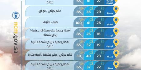 الباحة 25 مئوية.. درجات الحرارة العظمى على بعض مدن المملكة - تواصل نيوز