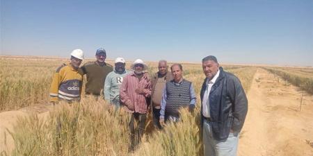 الزراعة في ذكرى أكتوبر: «بحوث الصحراء» تنفذ حزمة مشروعات لدعم التنمية في سيناء - تواصل نيوز