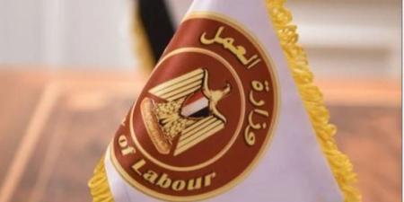 وزارة العمل بمصر: 100 فرصة عمل موسمية بالزراعة في إسبانيا براتب 64 ألف جنيه شهريا - تواصل نيوز