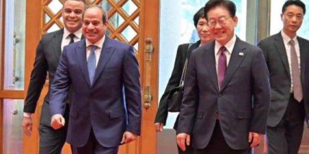 الرئيس السيسي: مصر وجدت في كوريا الجنوبية شريكا موثوقا وصديقا مخلصا - تواصل نيوز