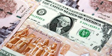 سعر الدولار مقابل الجنيه اليوم الجمعة 9 أكتوبر 2026.. آخر تحديث بالبنوك المصرية - تواصل نيوز