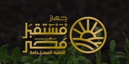 19 ألف كيلومتر من شبكات الكهرباء.. «مستقبل مصر» يدعم مشروعات الدلتا الجديدة - تواصل نيوز