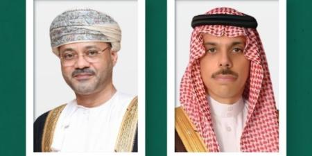 وزير الخارجية ونظيره العماني يبحثان آخر التطورات الإقليمية - تواصل نيوز