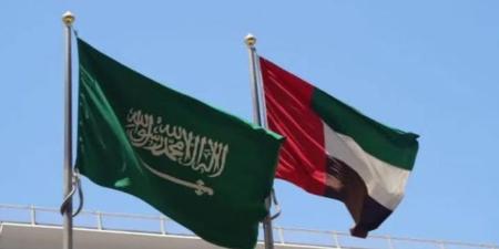 انتهاك صارخ.. الإمارات تدين الهجمات الحوثية على مطار الملك خالد - تواصل نيوز
